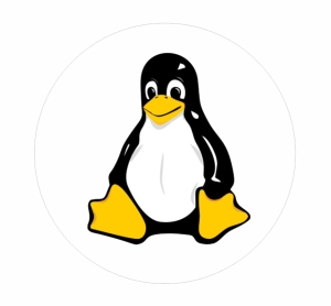 Aufkleber Linux-Maskottchen, Aufkleber 40 mm. Durchmesser